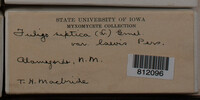 Image Associated With the Occurence